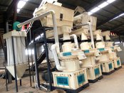 Wood Shavings Pellet Production Line