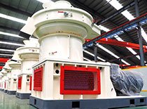 Wood Shavings Pellet Mill