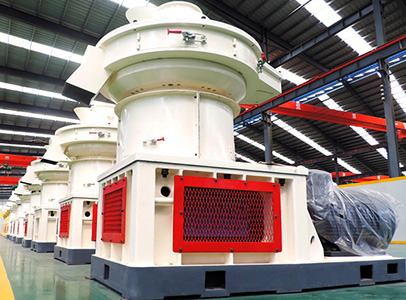 Wood Shavings Pellet Mill