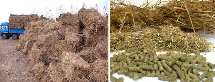 Straw and Straw Pellets