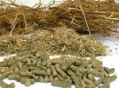 straw pellet mill