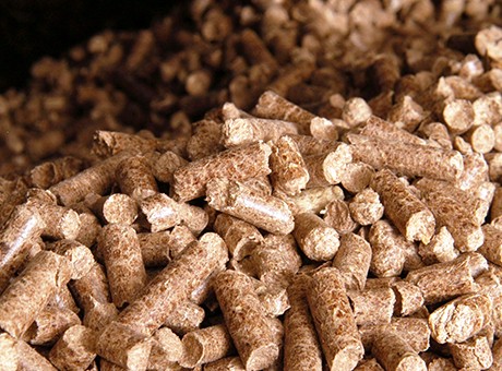 wood pellet